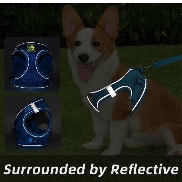 Reflective Small Dogs, Puppy Harness Leash - Picture 3 of 5